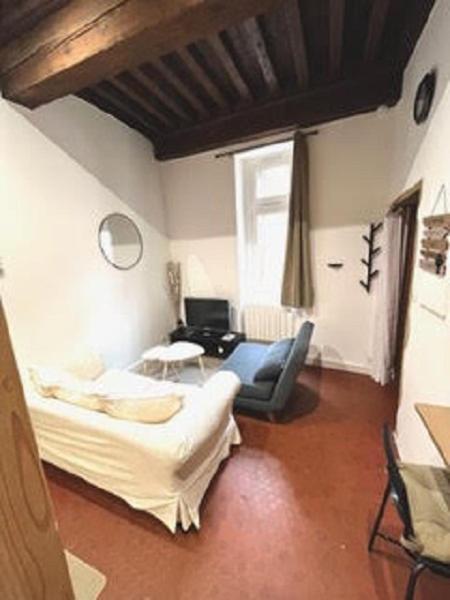 Apartamento Le Cocon De Saint-Jean Lyon Exterior foto